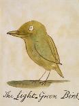 The Light Green Bird-Edward Lear-Giclee Print