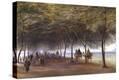 Stretched Canvas Print