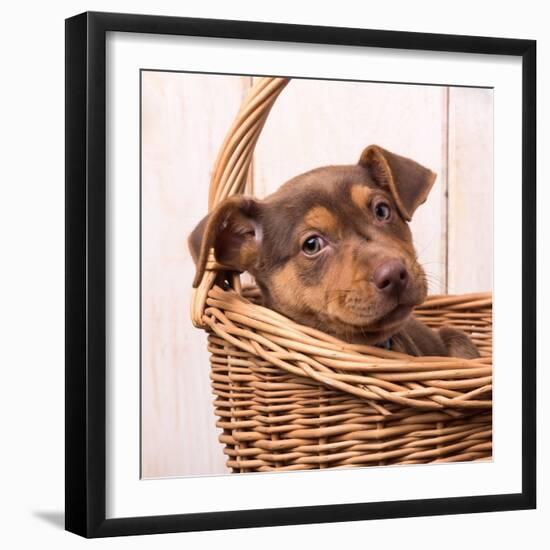 Photographic Print, , large