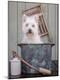 Photographic Print