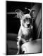 Photographic Print