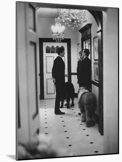 Edward M. Kennedy, Robert F. Kennedy, and Theodore Sorensen Talking at Hickory Hill-null-Mounted Photographic Print