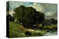 Stretched Canvas Print