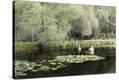 Stretched Canvas Print