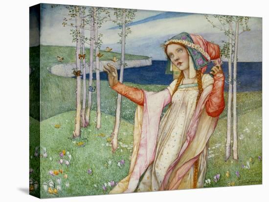 Stretched Canvas Print, , large