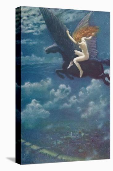 Stretched Canvas Print, , large