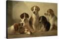 Stretched Canvas Print