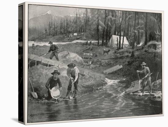 Stretched Canvas Print, , large