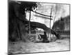 Photographic Print