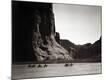 Premium Photographic Print