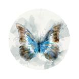 Indigo Butterfly III-Edward Selkirk-Art Print