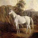 The Racehorse 'Tranby' in a River Landscape-Edward Troye-Framed Premier Image Canvas