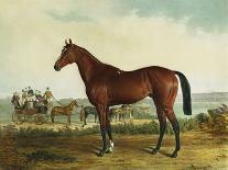 A Portrait of 'Marshall' a Bay Racehorse, in a Stall-Edward Troye-Framed Giclee Print