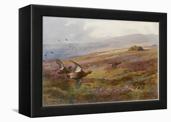 Edward VII at Balmoral-Archibald Thorburn-Framed Premier Image Canvas