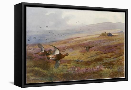 Edward VII at Balmoral-Archibald Thorburn-Framed Premier Image Canvas