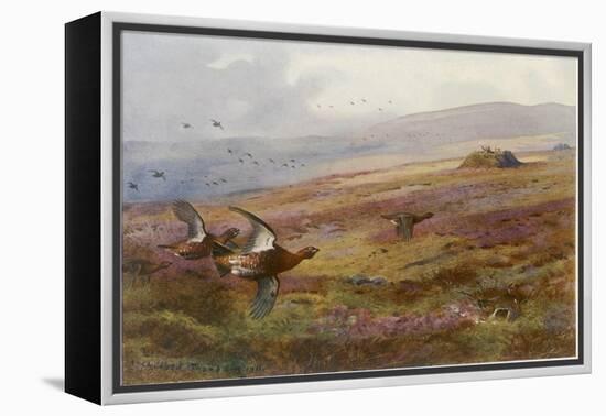 Edward VII at Balmoral-Archibald Thorburn-Framed Premier Image Canvas