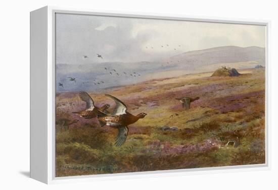 Edward VII at Balmoral-Archibald Thorburn-Framed Premier Image Canvas