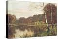 Stretched Canvas Print