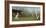 Edwardian Tennis Scene-20th Century Italian School -Framed Premium Giclee Print