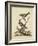 Edwards Bird Pairs II-George Edwards-Framed Art Print