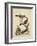 Edwards Bird Pairs VI-George Edwards-Framed Art Print