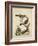 Edwards Bird Pairs VI-George Edwards-Framed Art Print