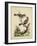 Edwards Bird Pairs VI-George Edwards-Framed Art Print