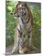 Premium Photographic Print