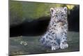 Photographic Print
