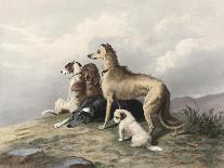 Scene in Braemar, Highland Deer-Edwin Henry Landseer-Giclee Print