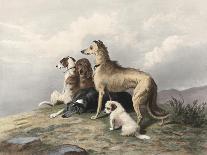 Trial by Jury, or Laying Down the Law, C.1840-Edwin Henry Landseer-Giclee Print