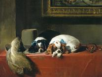 Sleeping Bloodhound-Edwin Henry Landseer-Giclee Print