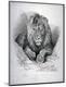 Giclee Print