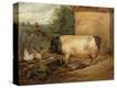 Stretched Canvas Print