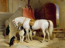 King Charles Spaniels ('The Cavalier's Pets')-Edwin Henry Landseer-Giclee Print