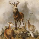 Highland Dogs-Edwin Henry Landseer-Art Print