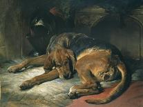 Sleeping Bloodhound-Edwin Henry Landseer-Giclee Print