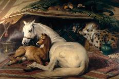 Alexander and Diogenes-Edwin Henry Landseer-Giclee Print