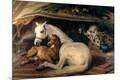 Premium Giclee Print