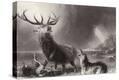 Stretched Canvas Print