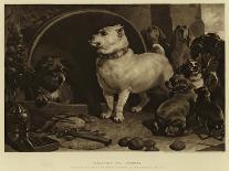 A Distinguished Member Of The Humane Society-Edwin Landseer-Premium Giclee Print