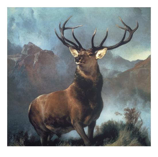 Limited Edition, , large