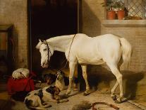 A Distinguished Member Of The Humane Society-Edwin Landseer-Framed Premium Giclee Print