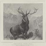 Scarbro, an Old Cover Hack-Edwin Landseer-Giclee Print