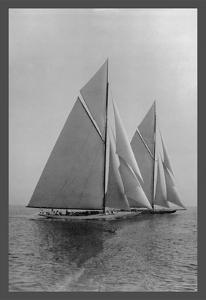 Shamrock and Resolute by Edwin Levick