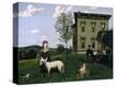 Stretched Canvas Print