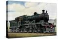 Stretched Canvas Print