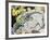 Eeastern Collared Lizard (Crotaphytus Collaris), Crotaphytidae-null-Framed Giclee Print