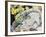 Eeastern Collared Lizard (Crotaphytus Collaris), Crotaphytidae-null-Framed Giclee Print