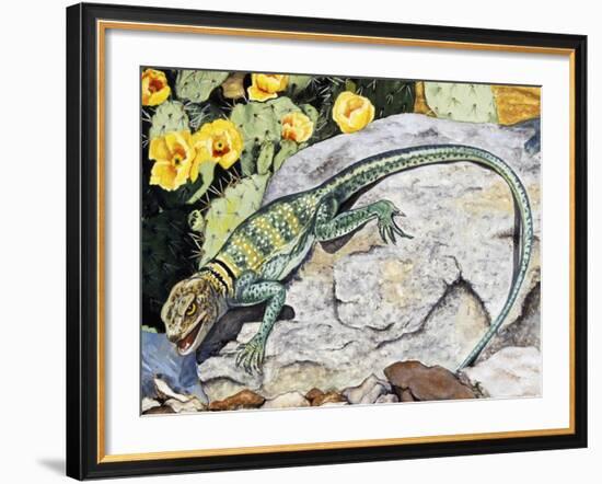 Eeastern Collared Lizard (Crotaphytus Collaris), Crotaphytidae-null-Framed Giclee Print